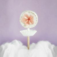 Rosa Zuckerblume auf weißem Pop